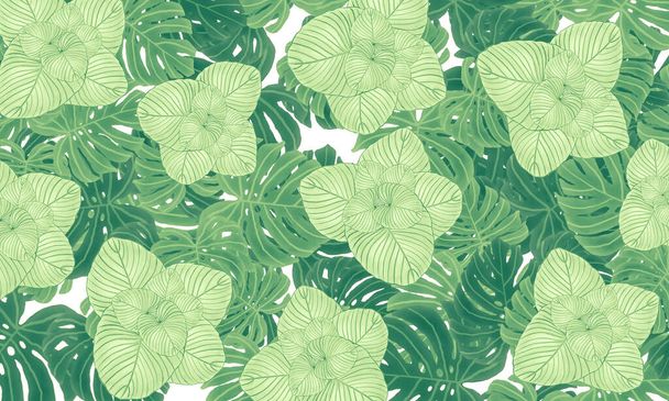Zelené tropické listy jaro příroda tapety pozadí  - Fotografie, Obrázek