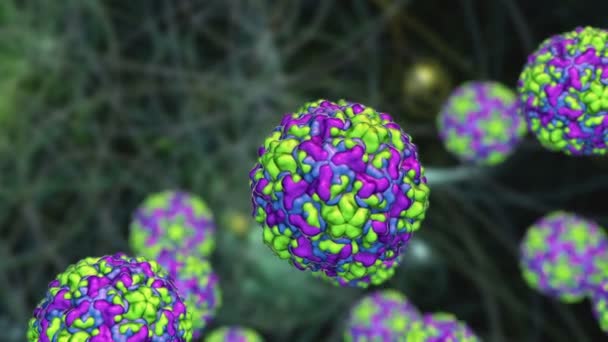 Rhinovirus, los virus que causan rinitis y resfriado común, animación 3D - Imágenes, Vídeo