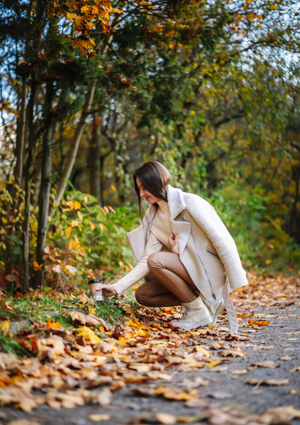 Young woman picking up fallen leaves in the park - Фото, зображення