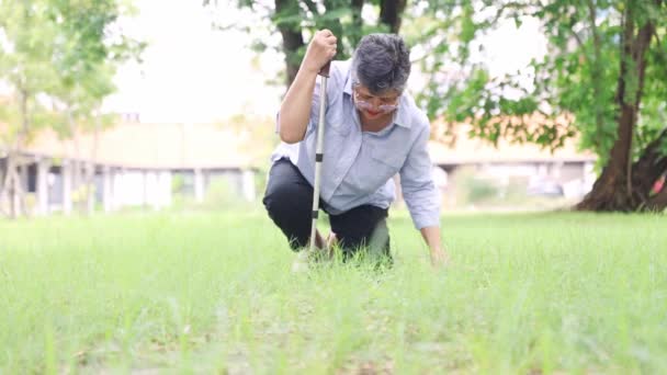 Anziani donna asiatica accidentalmente inciampato e cadde su erba scivolosa in un parco. Ha cercato di alzarsi usando il bastone per aiutarla ad alzarsi. Camminò lentamente e subì ferite lievi.. - Filmati, video