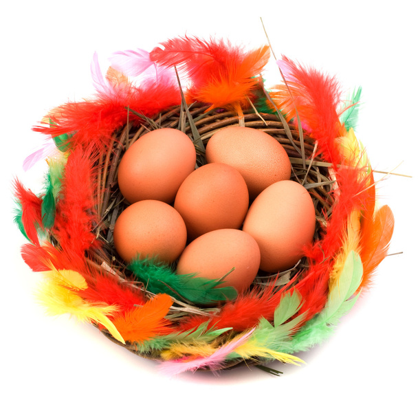 Easter egg in nest isolated on white background - 写真・画像