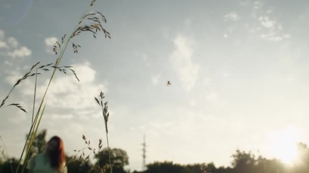 Spider opknoping op web tegen de hemel bij zonsondergang met uit focus menselijke figuur. - Video