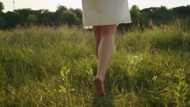 Donna scalza che cammina attraverso il campo di erba alla luce del sole, primo piano delle gambe. - Filmati, video