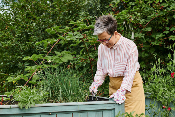 appealing joyful mature woman in casual attire with glasses working in her garden with planting bed - Foto, imagen