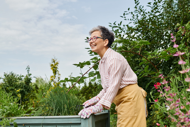 atrakcyjna radosna dojrzała kobieta w luźnym stroju z okularami pracująca w ogrodzie z łóżkiem do sadzenia - Zdjęcie, obraz