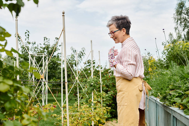 joyous appealing mature woman with glasses and gloves taking care of her fresh berries in garden - Photo, image