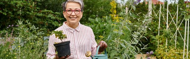 привлекательная веселая взрослая женщина с лейкой банкой и горшком с растением и улыбкой на камеру, баннер - Фото, изображение
