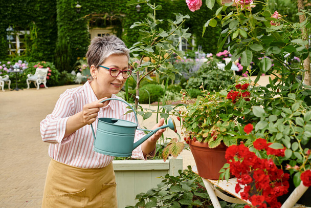 good looking jolly mature woman watering her lively vibrant flowers in her garden in England - Foto, imagen