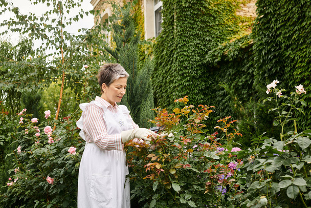 maduro alegre hermosa mujer con pelo corto utilizando herramientas de jardinería para cuidar de rosa mosqueta animada - Foto, Imagen