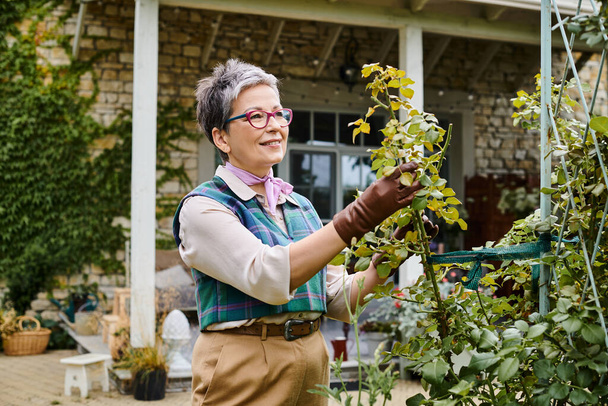 elegancka, dojrzała kobieta w okularach patrząca szczęśliwie na swoje rośliny w pobliżu swojego domu w Anglii - Zdjęcie, obraz