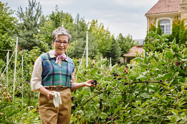 χαρούμενη εκλεπτυσμένη ώριμη γυναίκα με γάντια και γυαλιά που φροντίζει τα φυτά της και χαμογελά στην κάμερα - Φωτογραφία, εικόνα
