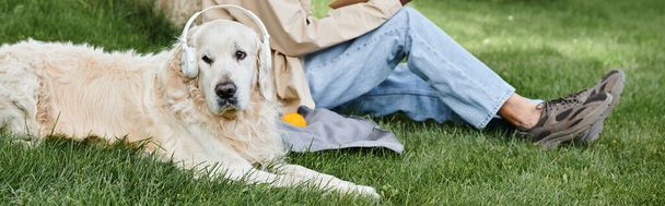 Un uomo afroamericano disabile seduto sull'erba con il suo leale cane Labrador in cuffia al suo fianco. - Foto, immagini