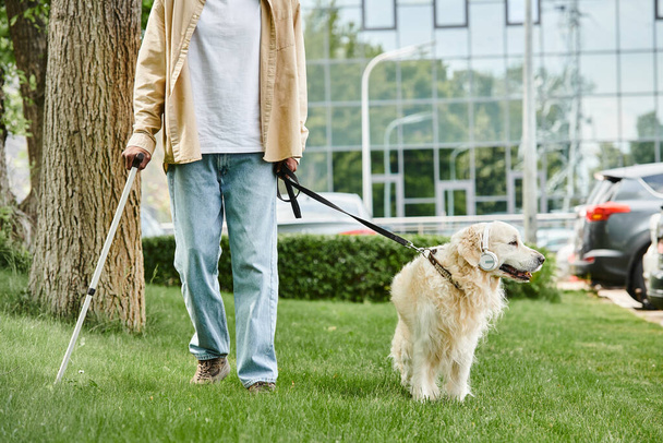 さまざまなコミュニティでラブラドール犬を歩く障害のあるアフリカ系アメリカ人男性. - 写真・画像