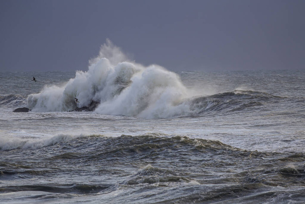 Μεγάλο κύμα καταιγίδας παφλασμός το σούρουπο. Βόρεια ακτή της Πορτογαλίας. - Φωτογραφία, εικόνα
