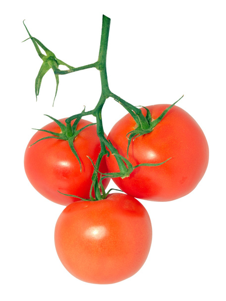 Tomatos 7 - Photo, Image