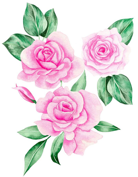 Watercolor Bouquet of flowers, isolated, white background, pink roses and green leaves - Foto, immagini