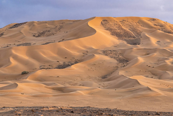 Ближний Восток, Саудовская Аравия, провинция Табук, Тайма. Песчаные дюны пустыни Саудовской Аравии. - Фото, изображение