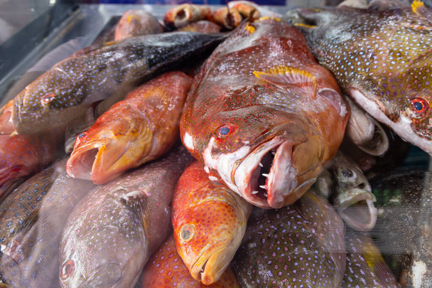 Naher Osten, Saudi Arabien, Tabuk, Duba. Frischer Fisch auf einem Markt in der Hafenstadt Duba. - Foto, Bild