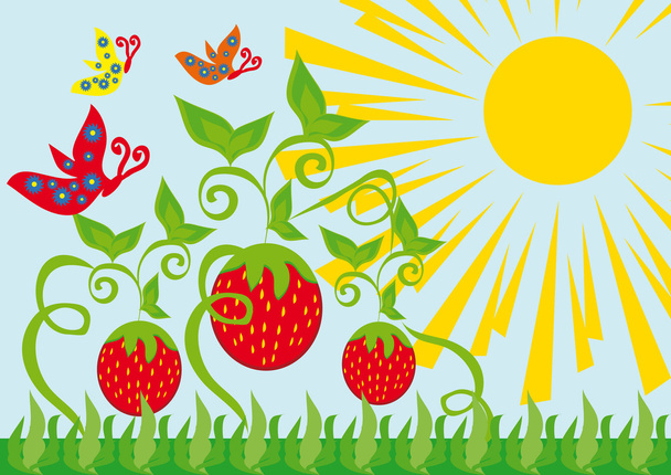 Curl from strawberry berries and butterflies - Vector, Image