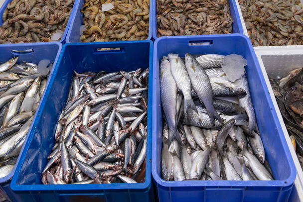 Naher Osten, Saudi Arabien, Provinz Madinah, Medina. Frischer Fisch auf einem Markt in Medina. - Foto, Bild