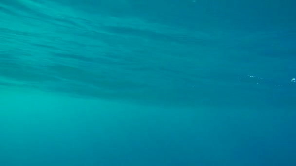 Blu, acqua e sott'acqua nell'oceano per vacanze o vacanze nuoto. Terra, onde liquide e marine per avventura e turismo ed ecosistema marino con luce solare in un mare acquatico per la fuga. - Filmati, video