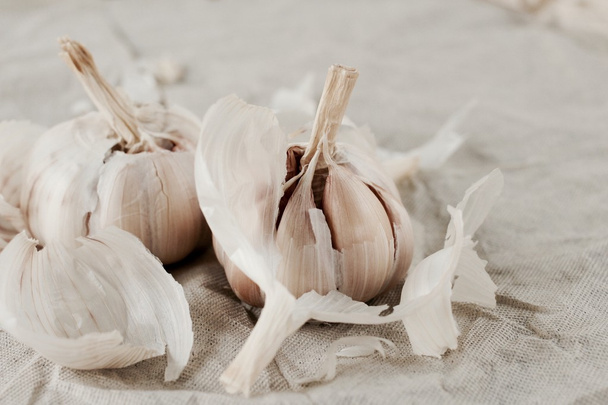 Garlic - Photo, Image