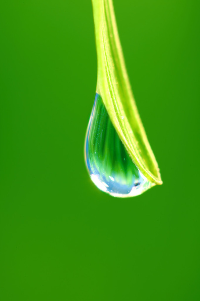 Big water drop - Фото, зображення