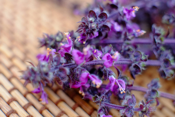 Una imagen de primer plano que muestra los intrincados detalles de las flores de albahaca púrpura, con una profundidad de campo poco profunda que resalta los tonos púrpuras vibrantes y las delicadas texturas de las flores y hojas contra el - Foto, Imagen