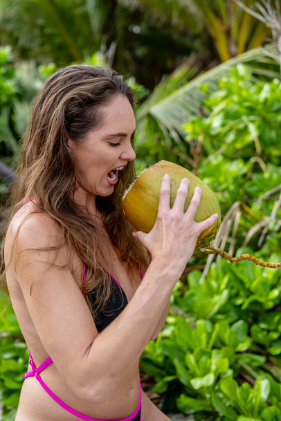 Aurinko-suuteli brunette, koristeltu bikinit, juhlii Karibian autuus hiekkarannalla, jossa yhdistyvät kauneus seikkailu etsiessään kookospähkinöitä - Valokuva, kuva