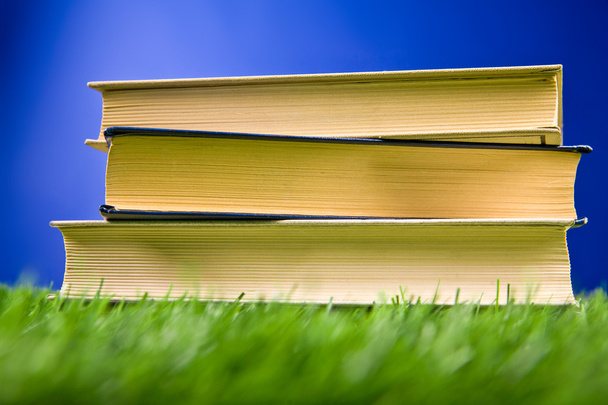Books in the grass - Фото, зображення