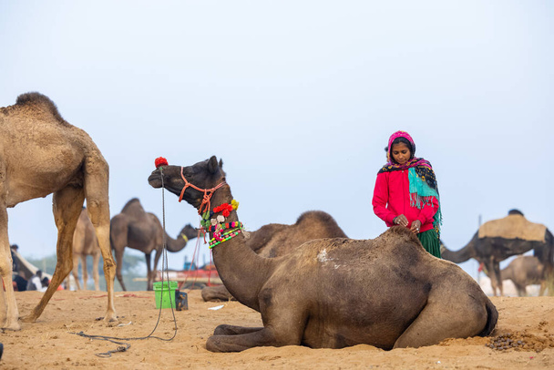 Pushkar, Rajasthan 'daki sisli kış sabahı Pushkar Camel Panayırı' nda deve taşıyan renkli bir Hintli kadının portresi.. - Fotoğraf, Görsel