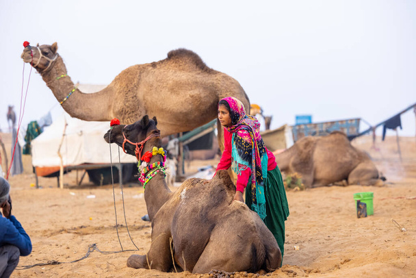 Pushkar, Rajasthan 'daki sisli kış sabahı Pushkar Camel Panayırı' nda deve taşıyan renkli bir Hintli kadının portresi.. - Fotoğraf, Görsel