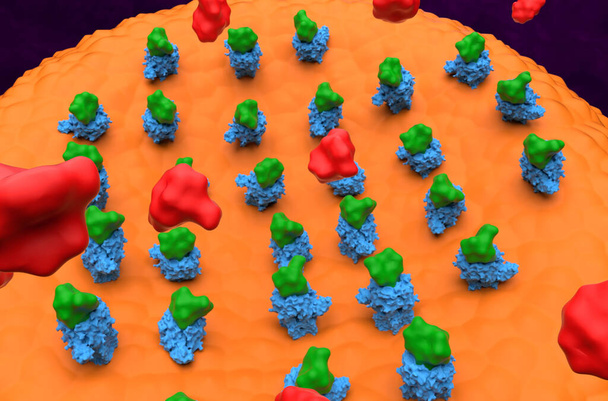 Naloxon bindt zich aan GABA receptoren, waardoor de binding van opioïden geblokkeerd wordt - close-up view 3d illustratie - Foto, afbeelding