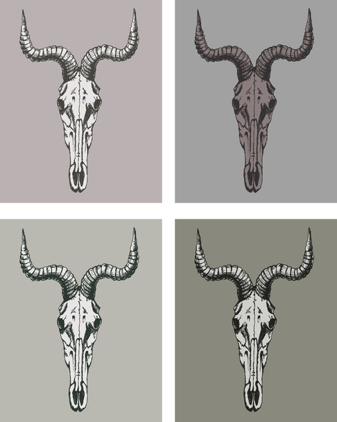 背景ベクトル セットにヤギの頭蓋骨 - ベクター画像