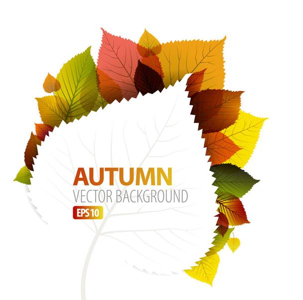 Outono abstrato floral fundo
 - Vetor, Imagem