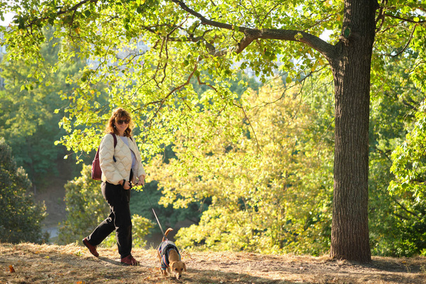 Tulajdonos séta kutyával együtt a parkban szabadban, nyári vakáció, imádnivaló háziállat koncepció, Barátság ember és kedvence. Tacskó pulóverben Kiváló minőségű fotó - Fotó, kép