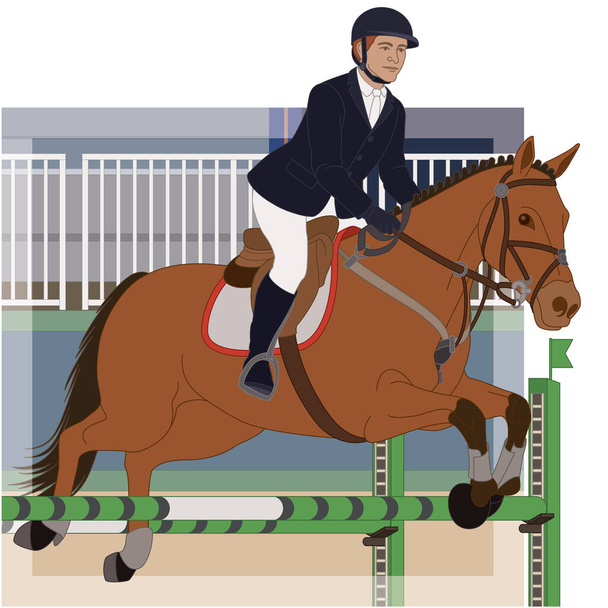 skoków konnych, męskiego jeźdźca prowadzącego konia skaczącego przez przeszkodę z areną w tle - Wektor, obraz