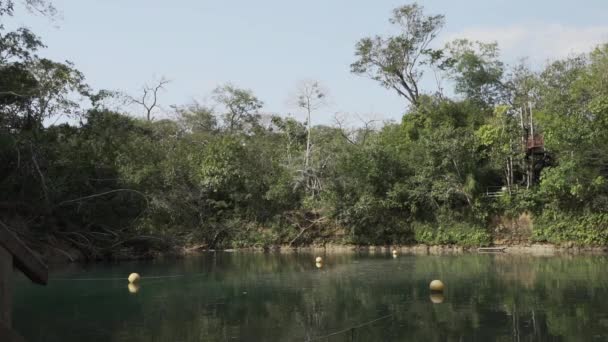 изумрудно-зеленого цвета, спокойная тропическая река близ Бонито в Бразилии, популярное место для отдыха. - Кадры, видео