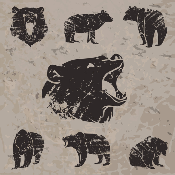 Set of different bears - Vector, Image