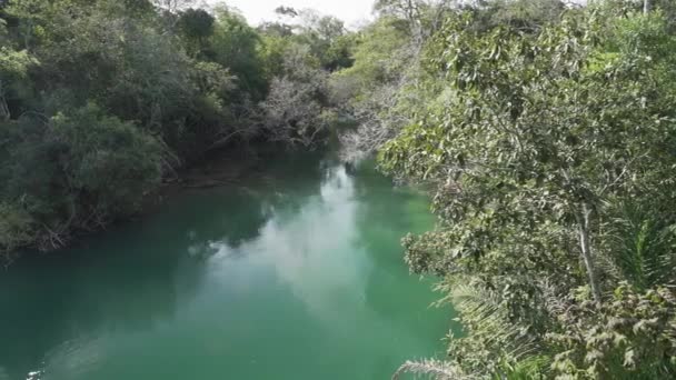 エメラルドグリーンカラー,ブラジルのボニート近くの静かな熱帯の川,リラクゼーションのための人気の旅行先とスパ. - 映像、動画