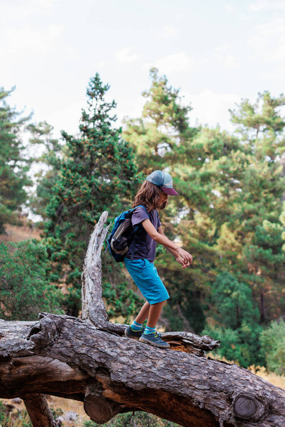 De jongen loopt op een omgevallen boom in het bos. Kindervrije tijd, een gelukkig kind klimt in een boom en heeft plezier. Wandelen met een kind. - Foto, afbeelding