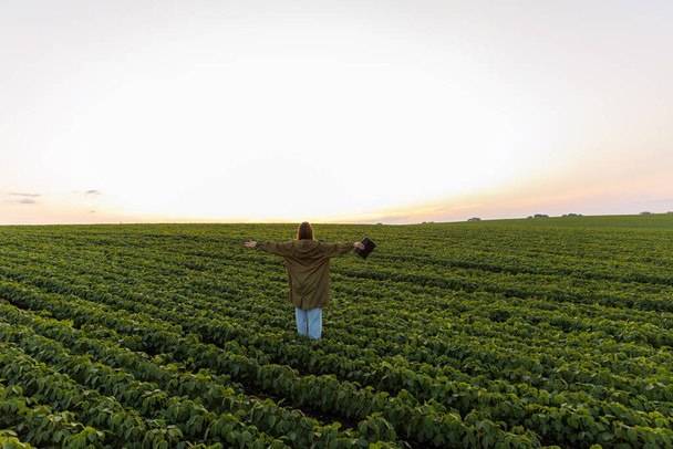 Yeşil bitkilerdeki mutlu kadın çiftçi soya fasulyesi fidanlığı, ellerini kaldırarak dönüyor dijital tablet tutuyor, başarıyı, galibiyeti ve gol başarısını kutluyor. Akıllı tarım soya fasulyesi teknolojisi. Tarım sektörü - Fotoğraf, Görsel