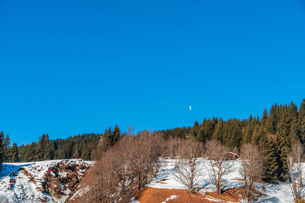 Un paesaggio invernale sereno che mostra una combinazione di aree innevate e pini verdi sotto un cielo azzurro chiaro con un parapendio. Ideale per concetti legati alla natura, alle stagioni e alla tranquillità - Foto, immagini