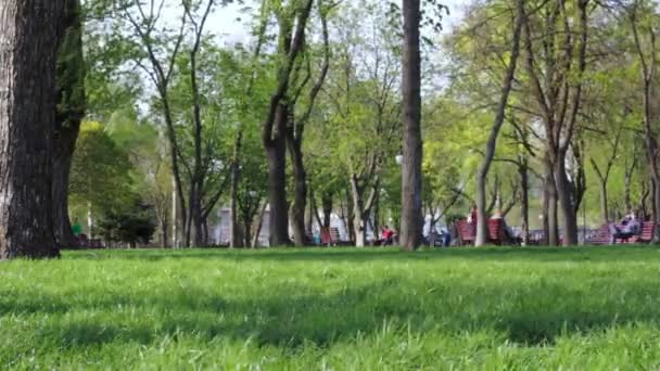 Οι επισκέπτες στο πάρκο της πόλης - Timelapse - Πλάνα, βίντεο