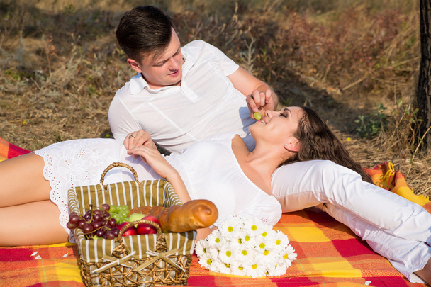 Couple having a picnic in park - 写真・画像
