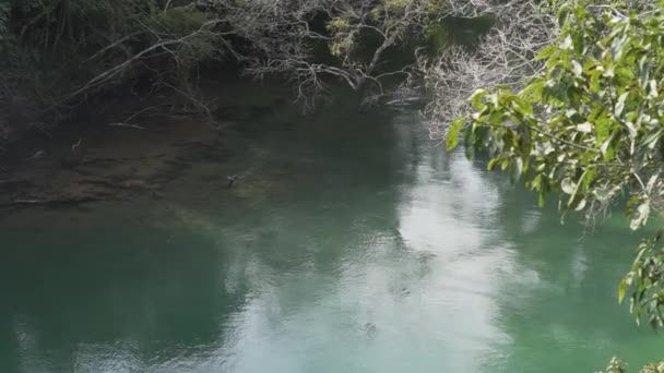 smaragd zöld színű, nyugodt trópusi folyó közelében Bonito Brazíliában, egy népszerű úti cél és spa pihenésre. - Felvétel, videó