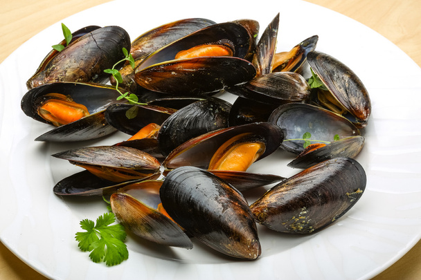 Boiled mussels - Photo, Image