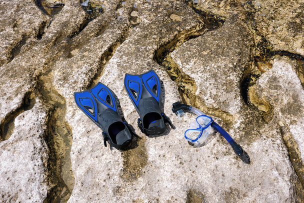 Flipperek a Kaszpi-tenger sziklás partján. - Fotó, kép