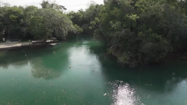 smaragdgrün gefärbter, ruhiger tropischer Fluss in der Nähe von Bonito in Brasilien, ein beliebtes Reiseziel und Thermalbad zur Entspannung. - Filmmaterial, Video