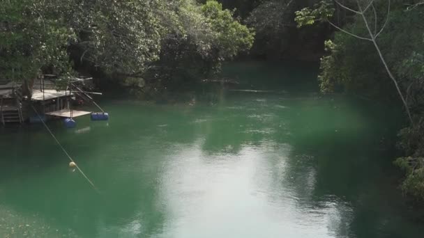 изумрудно-зеленого цвета, спокойная тропическая река близ Бонито в Бразилии, популярное место для отдыха. - Кадры, видео